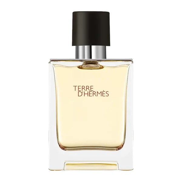 عطر ادکلن تق هرمس  ادو تویلت مردانه | Hermes Terre d'Hermes Eau de Toilette For Men