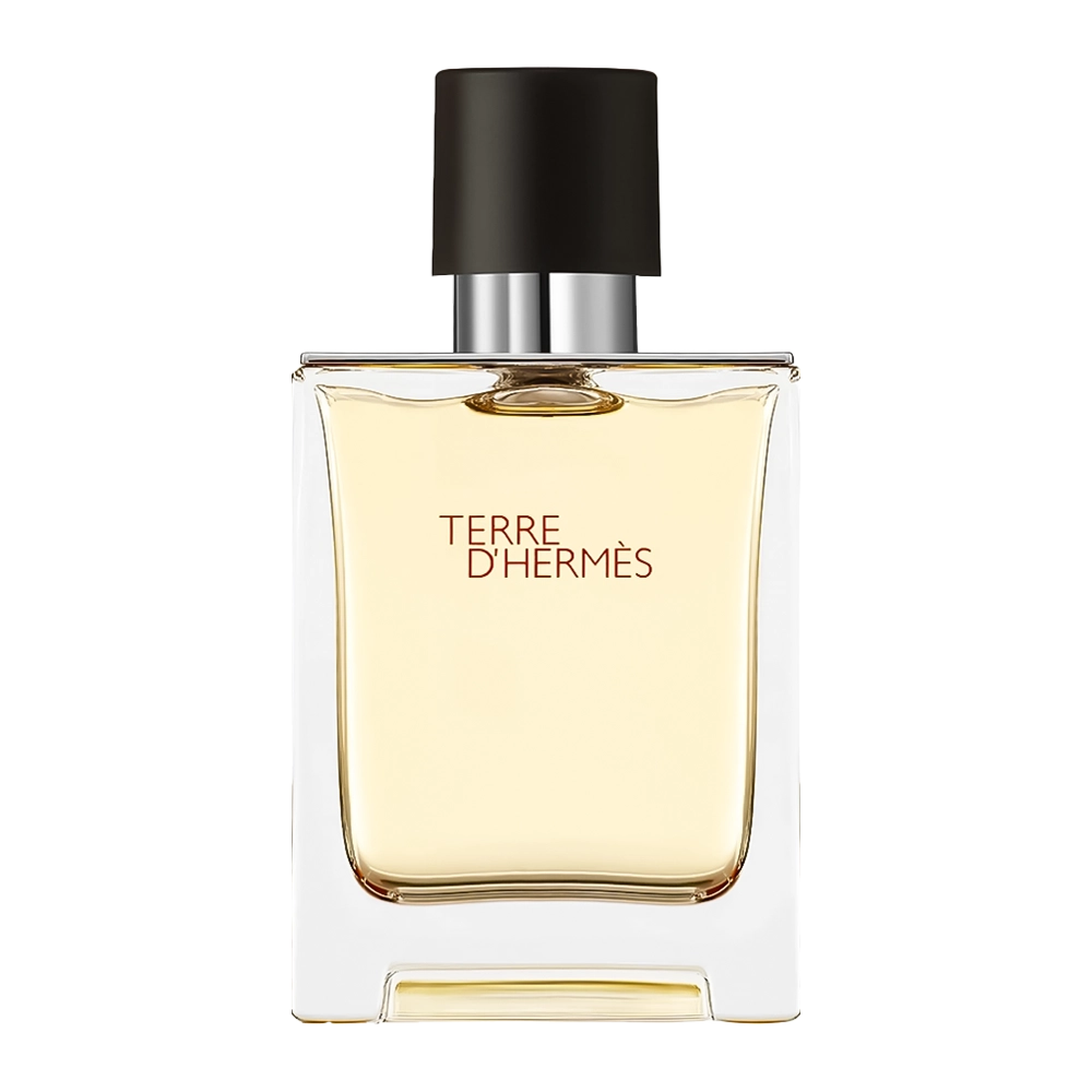 عطر ادکلن تق هرمس  ادو تویلت مردانه | Hermes Terre d’Hermes Eau de Toilette For Men