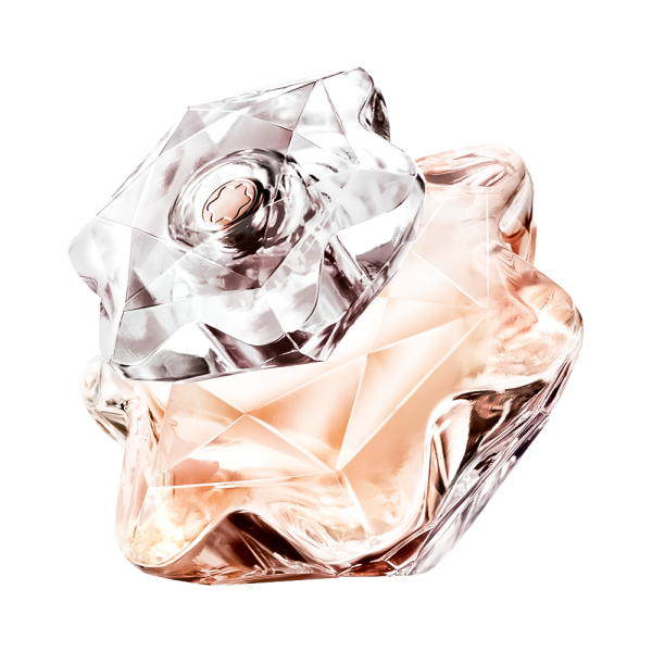عطر ادکلن مون بلان لیدی امبلم ادو پرفیوم | Montblanc Lady Emblem Eau de Parfum