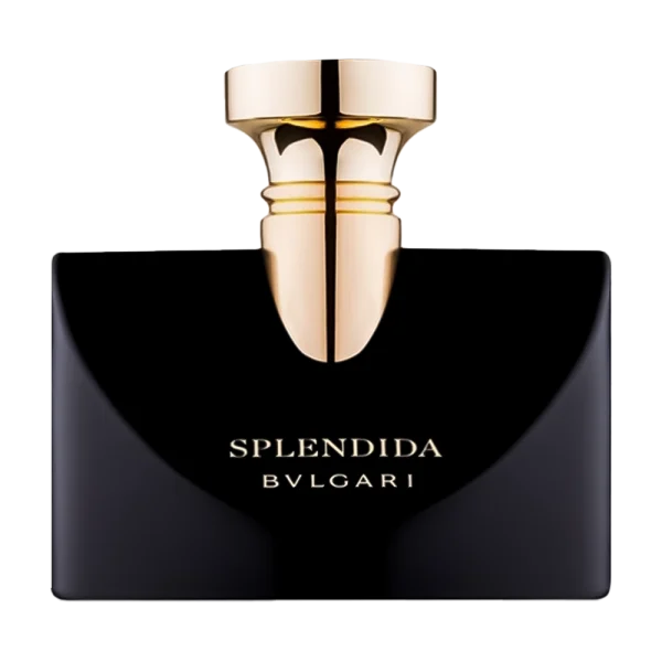 عطر ادکلن بولگاری اسپلندیدا جاسمین نویر ادو پرفیوم زنانه | Bvlgari Splendida Jasmin Noir Eau de Parfum