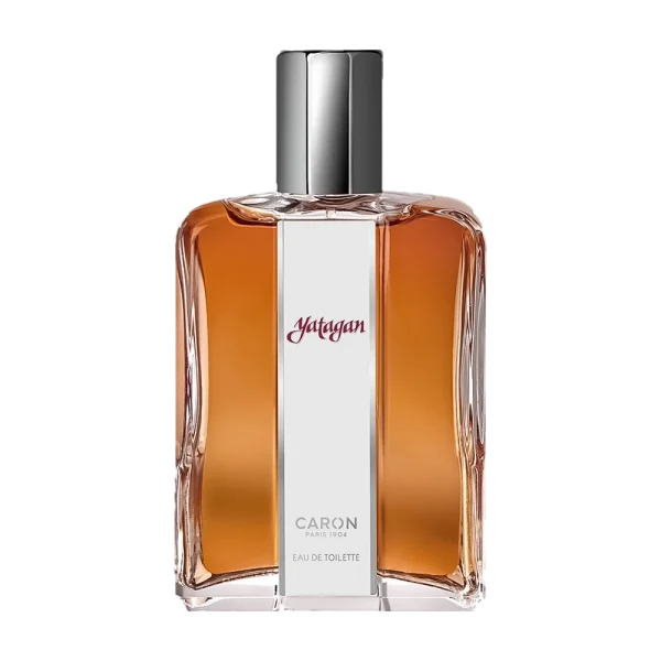 عطر ادکلن کارون یاتاقان ادو تویلت | Caron Yatagan Eau de Toilette for Men