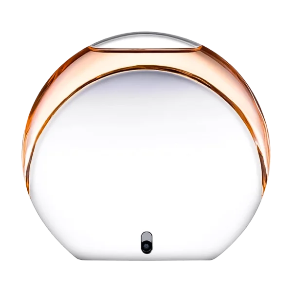 عطر ادکلن مونت بلنک پرسنس ادو تویلت زنانه | Mont Blanc Presence Dune Femme Eau de Toilette For Women