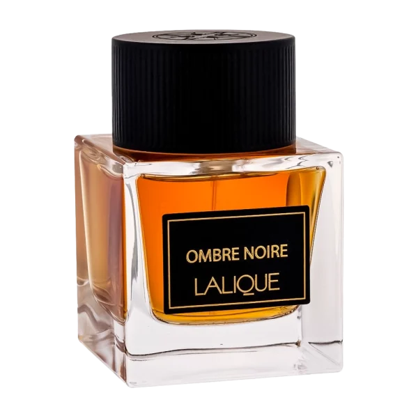 عطر ادکلن لالیک آمبر نویر ادو پرفیوم مردانه | Lalique Ombre Noire Eau de Parfum For Men
